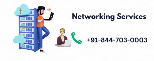 Networking Services in India