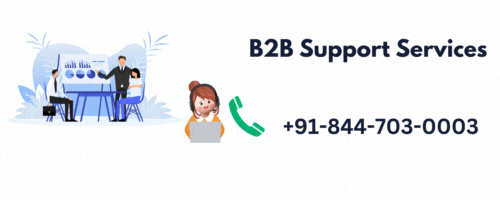 B2B Support Services in India